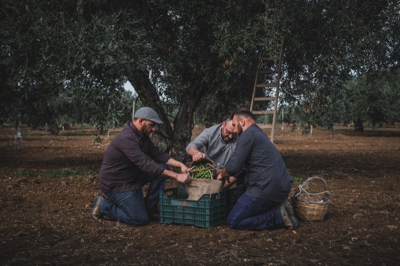 Analisi dell'olio